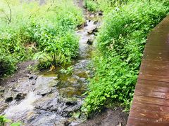 -峡谷浮石林景区