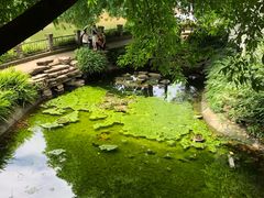 -三岔湖景区