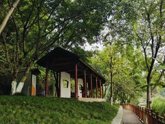 -重庆彩云湖湿地公园
