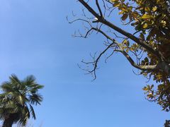 -南京航空航天大学(明故宫校区)