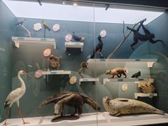 -国家自然博物馆