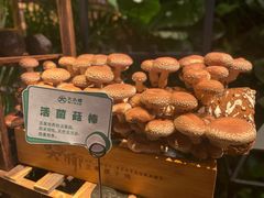 -大头椰·椰子鸡火锅(南宁万象城店)