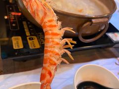 -鲜入围煮花胶鸡海鲜火锅
