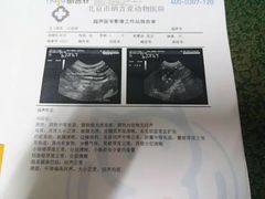 -纳吉亚猫专科动物诊疗中心(蒋宅口分院)