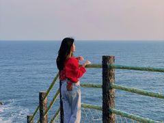 -广东惠东海龟国家级自然保护区