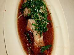 清蒸东星斑-新花城蟹粉馆(乌鲁木齐店)