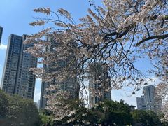 -成都市活水公园