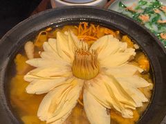 出水芙蓉-映水芙蓉(上海万象城店)
