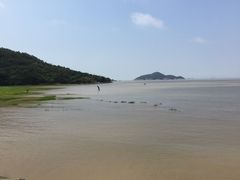 -花岙岛