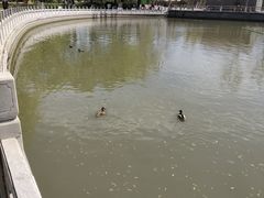 -莲花池公园