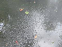 -大妙火锅·非物质文化遗产(东湖公园店)