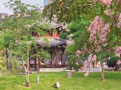 -四海公园(南山区)