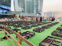 -大族广场Mall&More