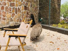 -J Create城市露营咖啡·简餐·宠物(上海动物园店)