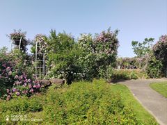 -尚贤河湿地