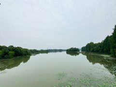 -东湖落雁景区