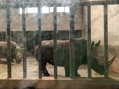 -石家庄市动物园