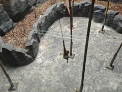 -武汉动物园