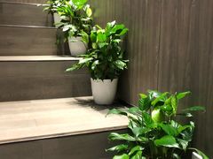 -深影国际影城(学院南路店CGS中国巨幕店)