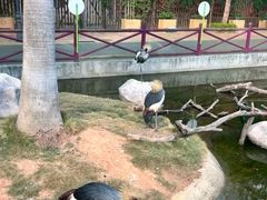 -灵玲国际马戏城