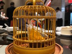 -玥轩YUE HIN(IFS国际金融中心店)