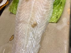 巴沙鱼-小龙坎老火锅(华飞店)