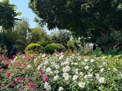 -人民公园(罗湖区)