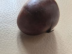 -高记福桂桂花糖炒栗(鼓楼店)