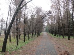 -上海海湾国家森林公园