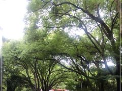 -杭州半山国家森林公园