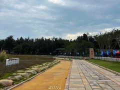 -大京沙滩