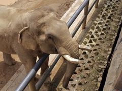 -贵州森林野生动物园