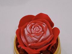 -哈根达斯(深圳海岸城店)