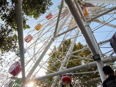 -西安市长乐公园