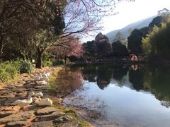 -蝴蝶泉公园