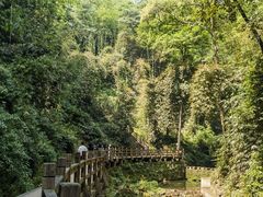 -凤栖山