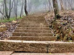 -梧桐山风景名胜区