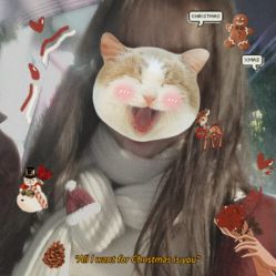-T.D Salon私人定制