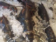 -Oyster Talks 四度蚝法餐厅