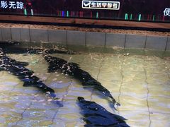 -胖姐渔村(中源大道店)