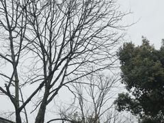 -灵隐飞来峰景区