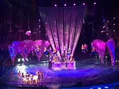 -珠海横琴长隆《卡卡虎奇遇记》