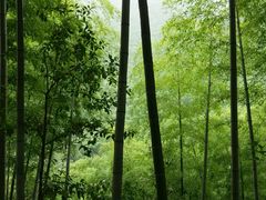 -山沟沟景区
