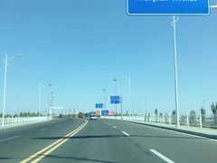 -金塔沙漠胡杨林景区