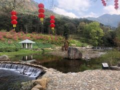 -广州市石门国家森林公园