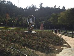 -顺峰山公园