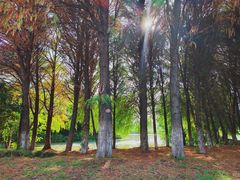 -梁鸿国家湿地公园