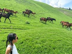 -新疆那拉提国家旅游度假区