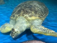 -海合安青岛极地海洋公园