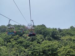 -富斯特索道